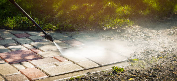 Best Animal Enclosure Cleaning  in Lawnside, NJ